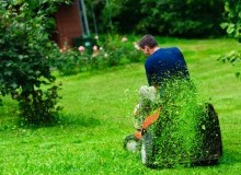 Kwikfynd Lawn Mowing
mountbarkersa